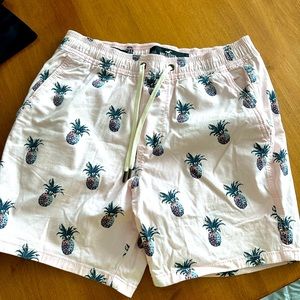 Men’s Size Small Hollister Shorts